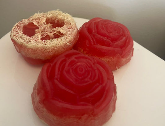 Loofah Soap